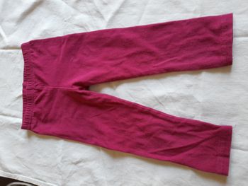 Legging rose