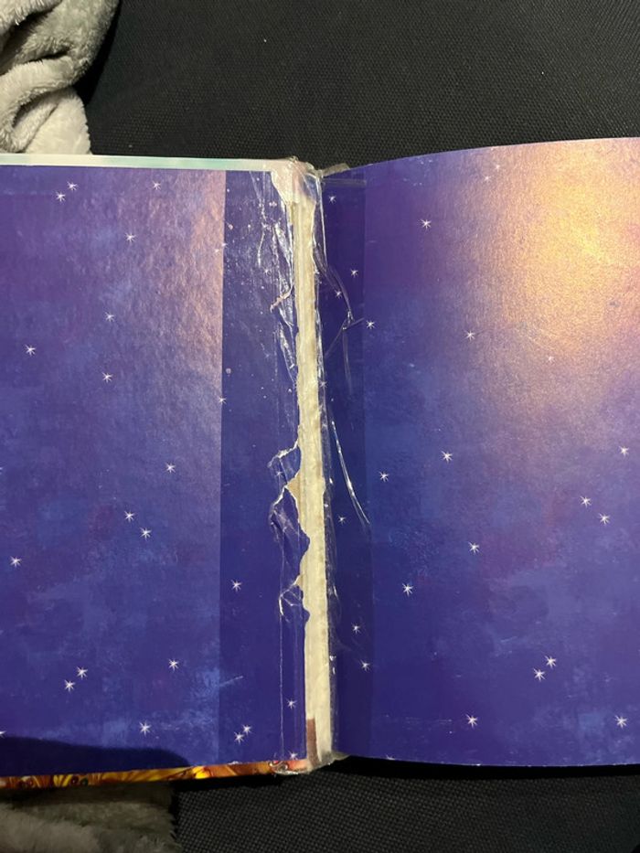 Livre pour enfants Geronimo stilton le royaume des sirènes - photo numéro 3