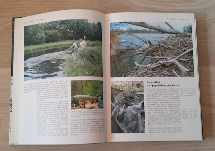 Pêches sportives Didier magnan - photo numéro 8