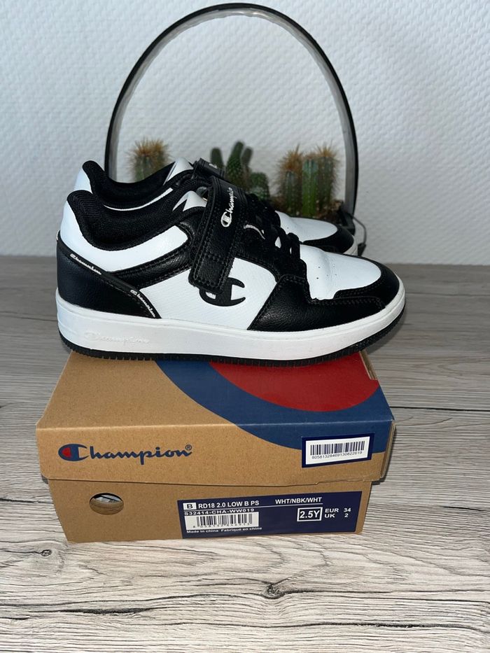 Basket champion 34 - photo numéro 3