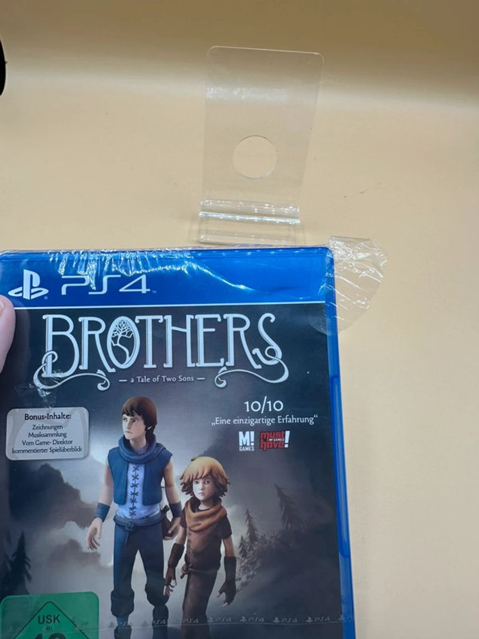Brothers - A Tale Of Two Sons Ps4 - photo numéro 3