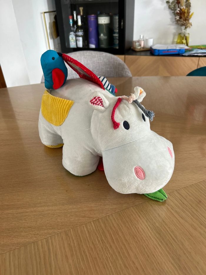 Hippo oxybul