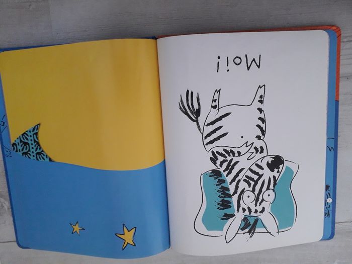 Livre viens me border - photo numéro 3