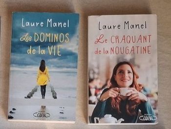 Lot 2 romans de Laure Manel Grand Format