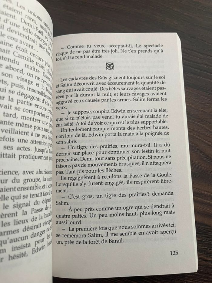 La quête D’Ewilan - photo numéro 3