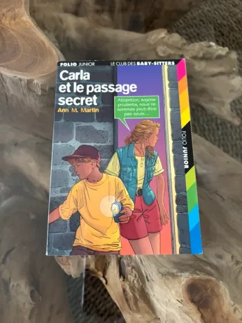 Livre Le club des baby-sitters