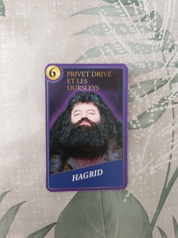 Carte Harry Potter