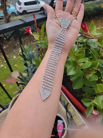 Cravate collier strass..