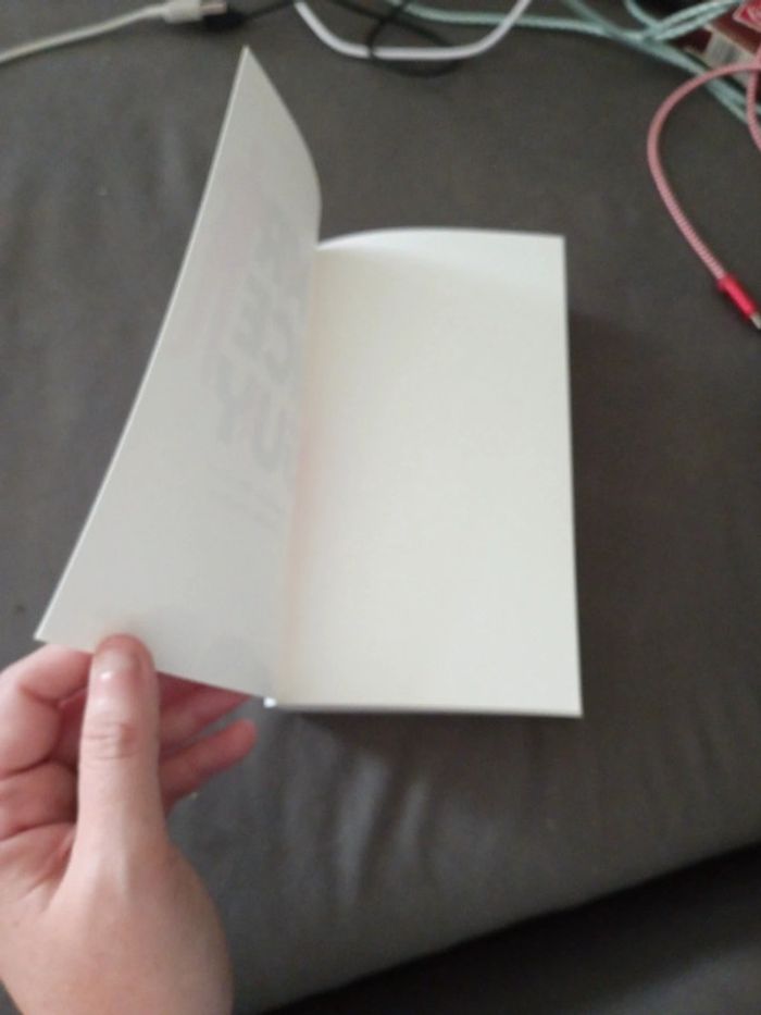 Mr Nice Guy - photo numéro 7