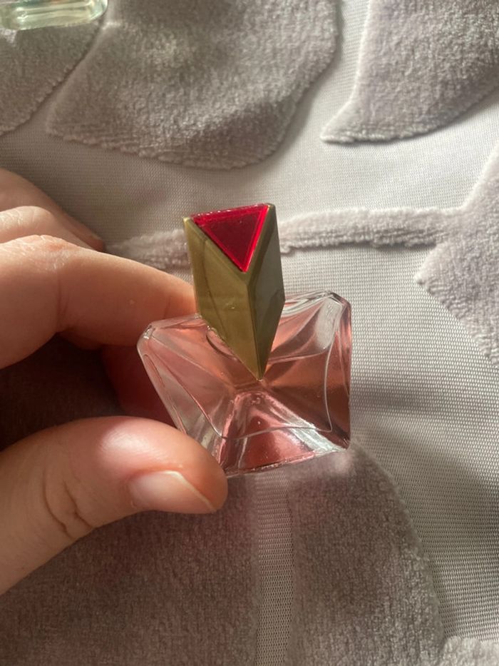 Miniatures de parfum Vintage - photo numéro 10
