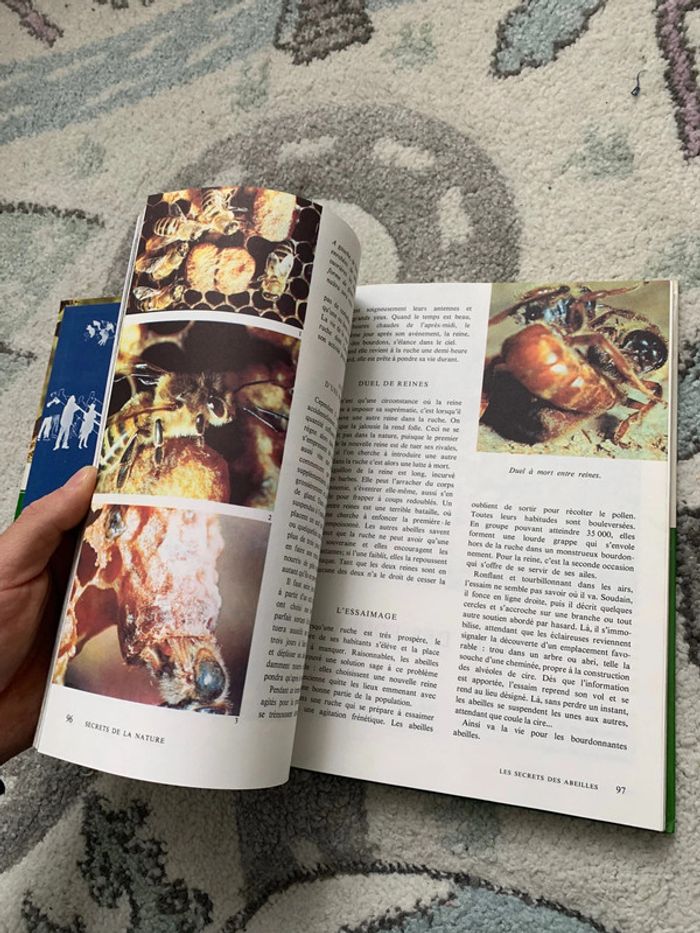 Le monde enchantée de Walt Disney - Secrets de la Nature - photo numéro 4