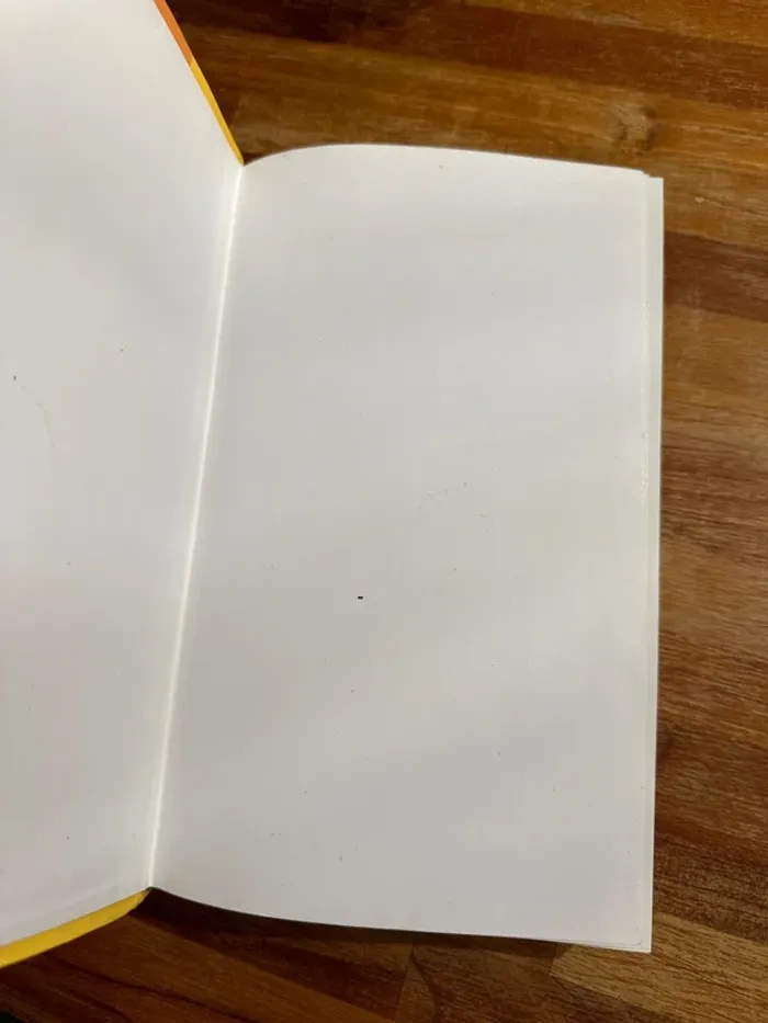 Livre le bon français, écrire et parler - photo numéro 5