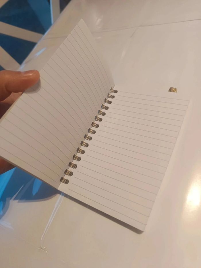 Carnet de notes Stanhome - photo numéro 3