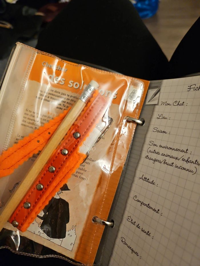 Carnet de mon chat - photo numéro 2
