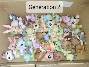 Petshop