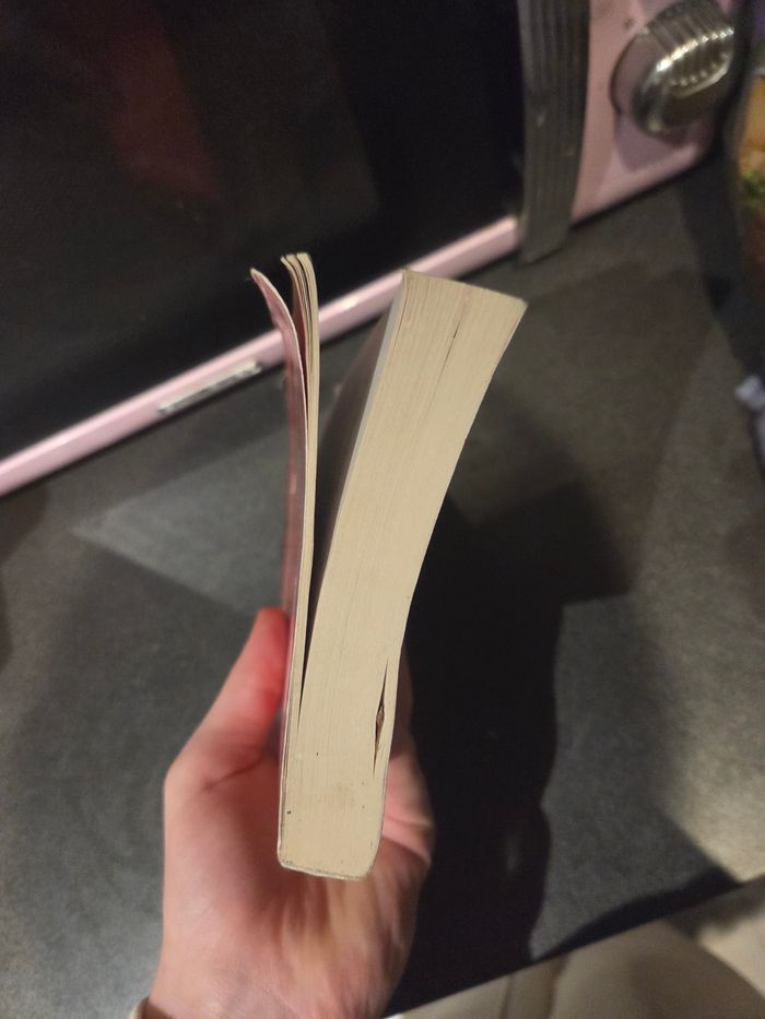 Livre mort sur le nil - photo numéro 6