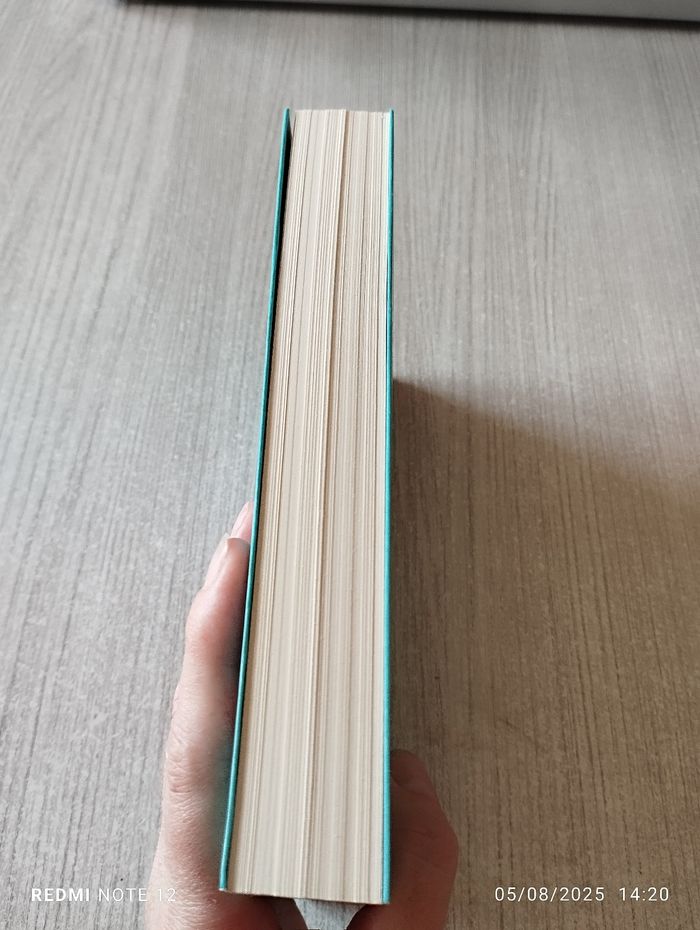 Livre Nicola Yoon - photo numéro 4