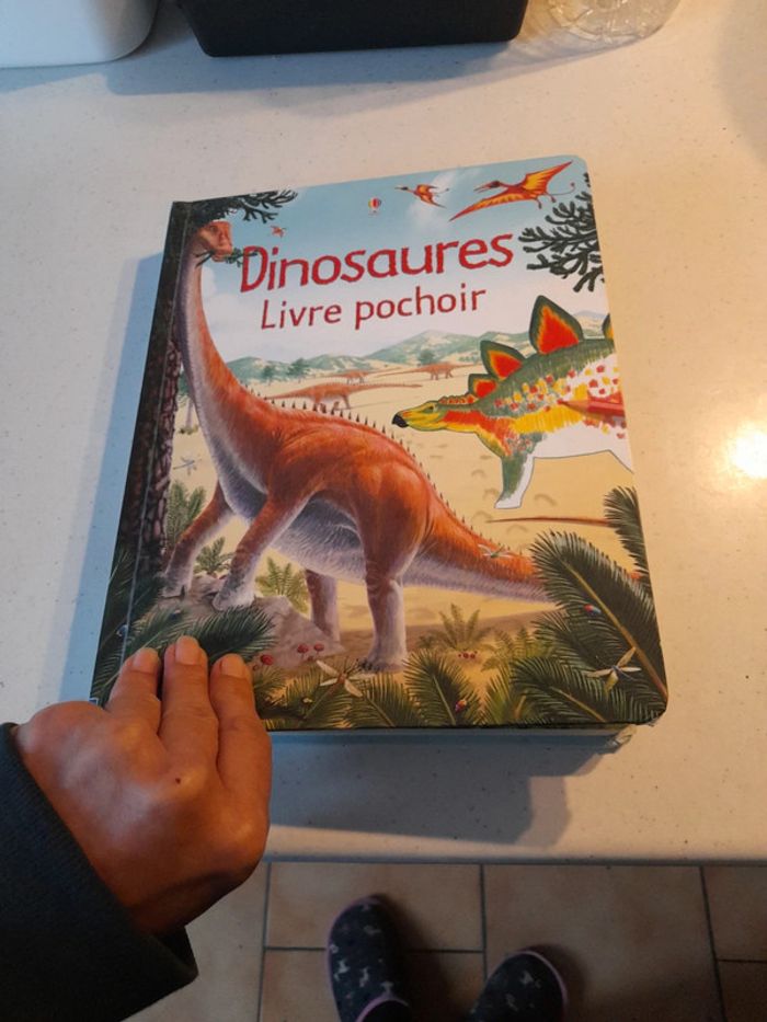 Livre pochoir