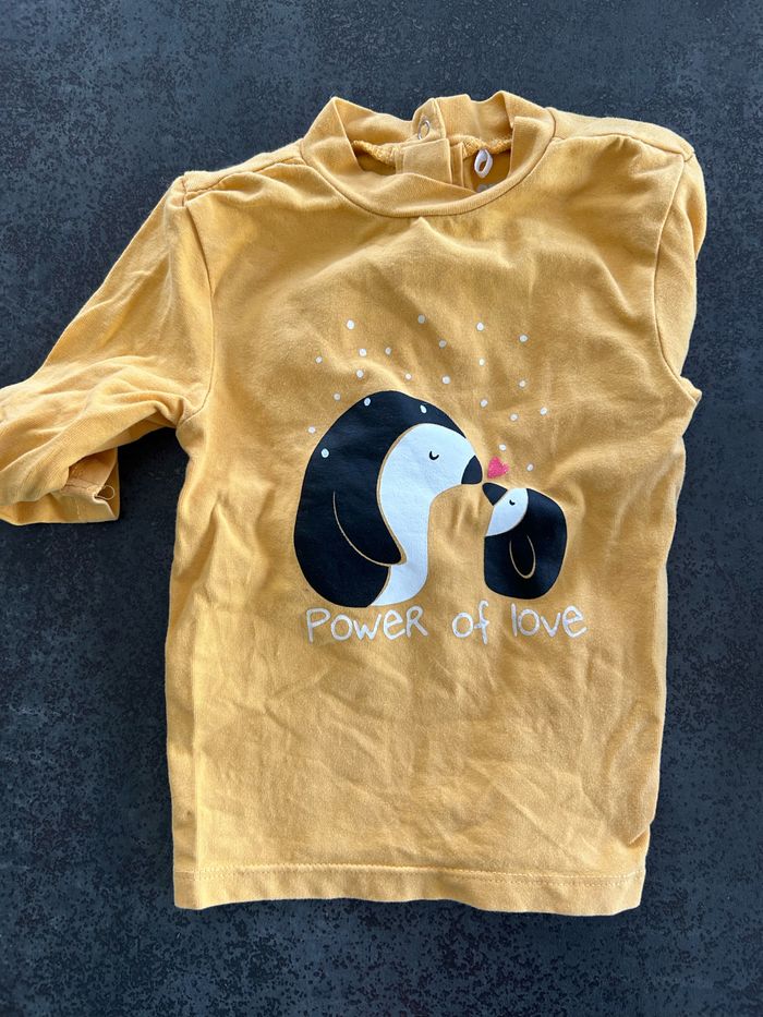 Lot t-shirt manches longues 9 mois - photo numéro 3