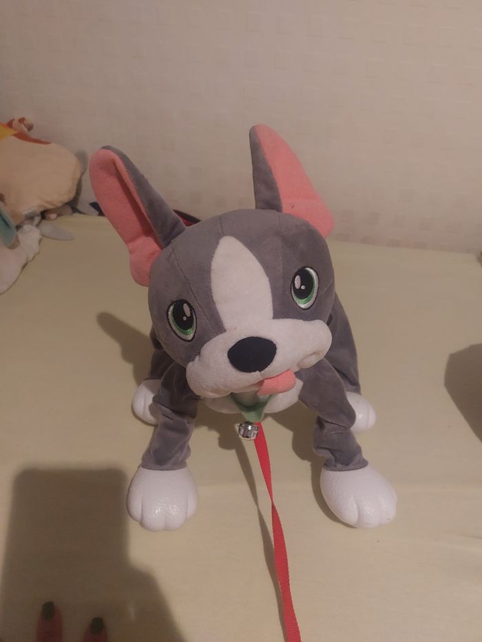 Chien toufou