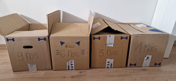 Gros lot de vêtements et accessoires  à petits prix
