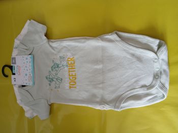 lot 2 bodies garcon manches courtes tic et tac disney baby 71 cm 9 mois 