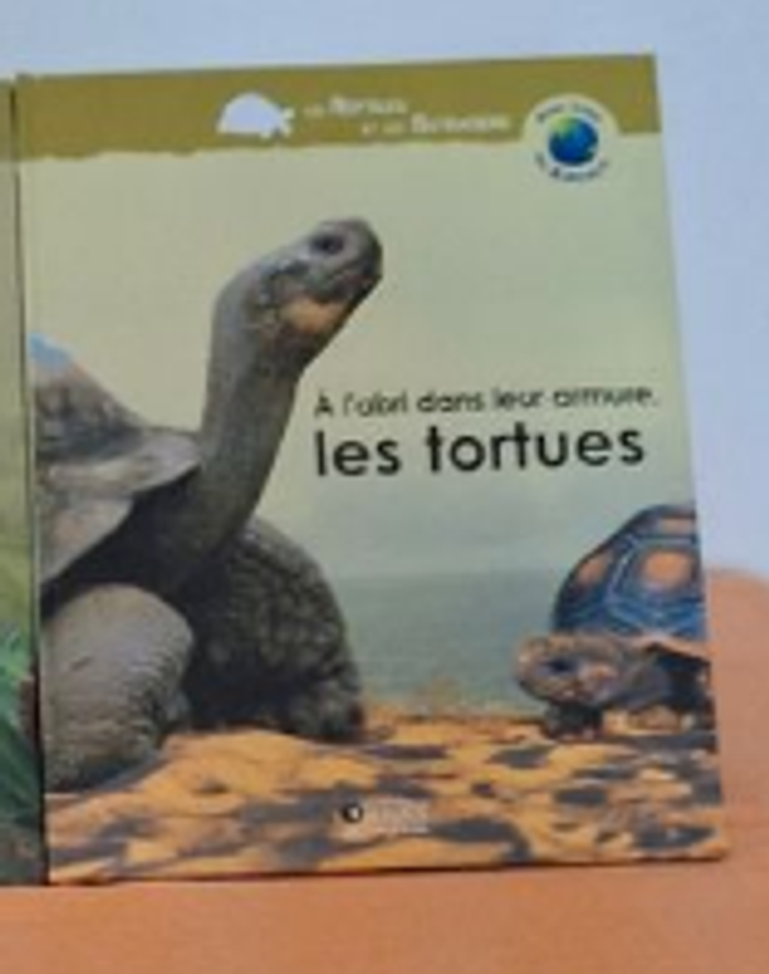 les tortues