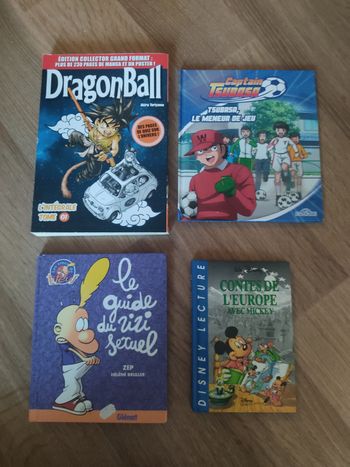 Lot 4 livres jeunesse