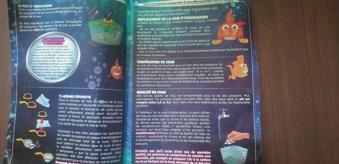 Aquarium pour observer - photo numéro 3