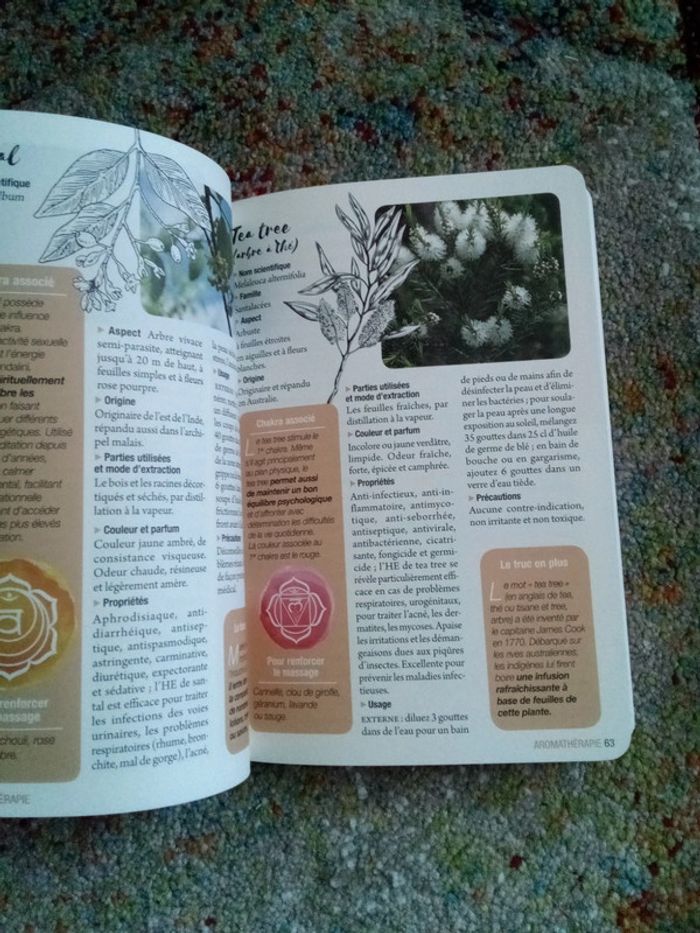 Aromathérapie aloe Vera fleurs de Bach - photo numéro 11