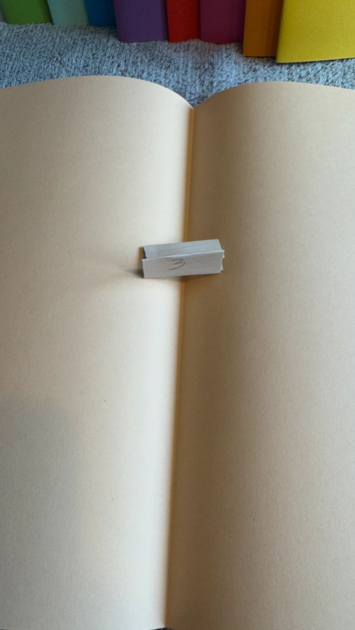 Ensemble de 3 chemises rigides blanc cassé - photo numéro 5