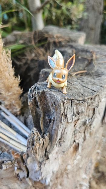 Super figurine Pokemon Nintendo Évoli brillant