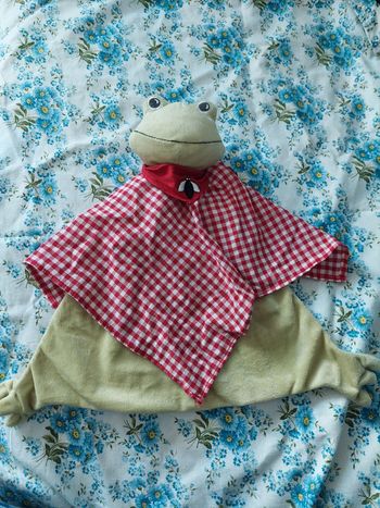 #5 Doudou grenouille Ikea