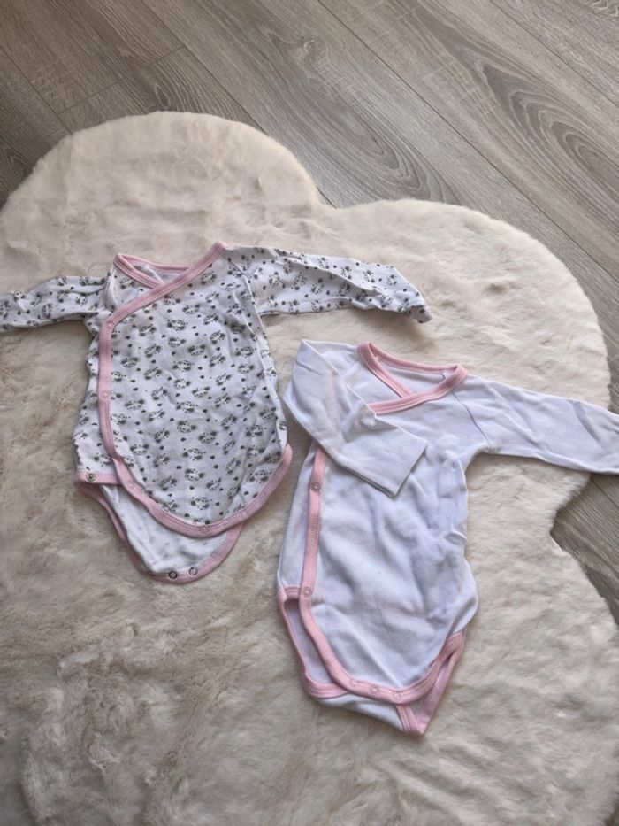 2 Bodie croisés 9 mois