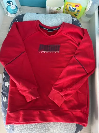 Pull puma