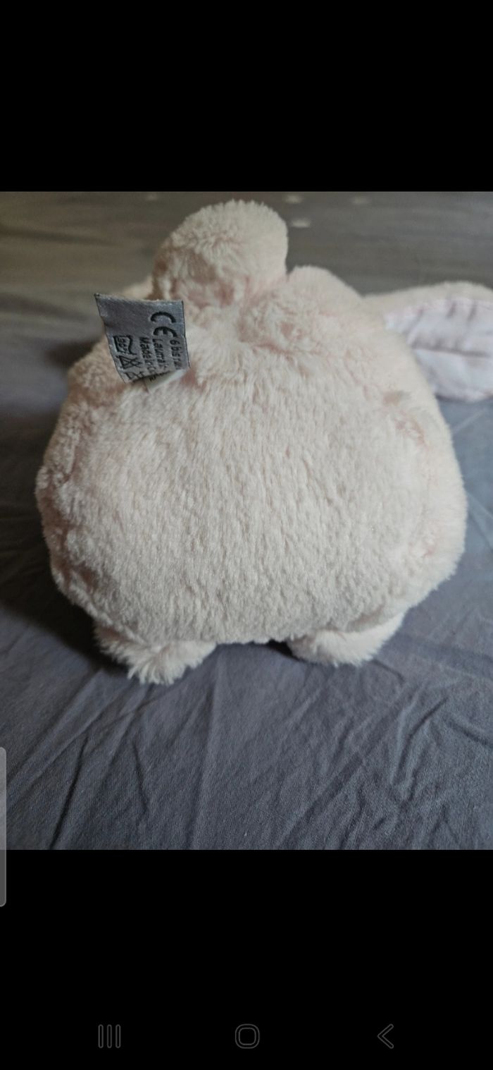 Augustin le lapin - photo numéro 5