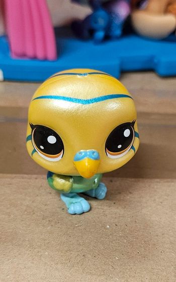 Pet shop rare 2-64