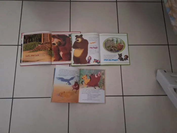 Lot livres masha et michka et roi lion - photo numéro 3