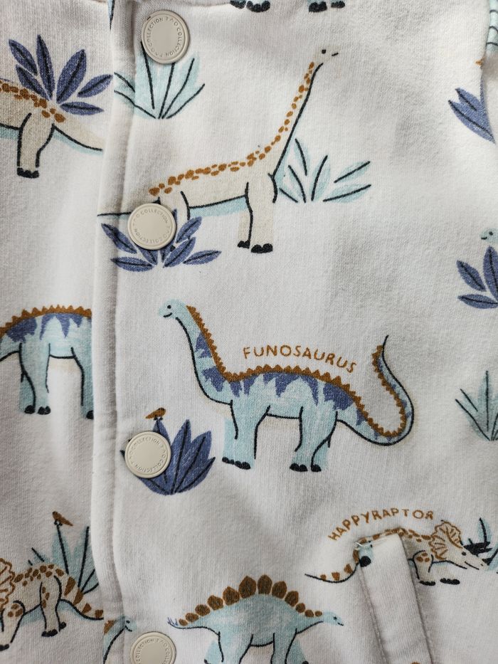 Veste dinosaures - photo numéro 4