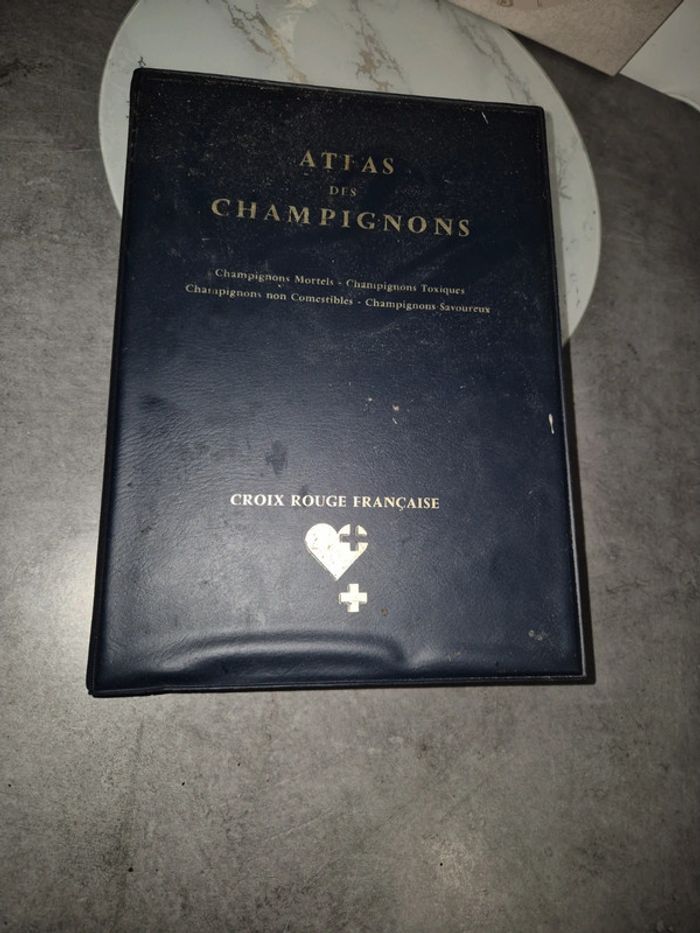 atlas des champignons