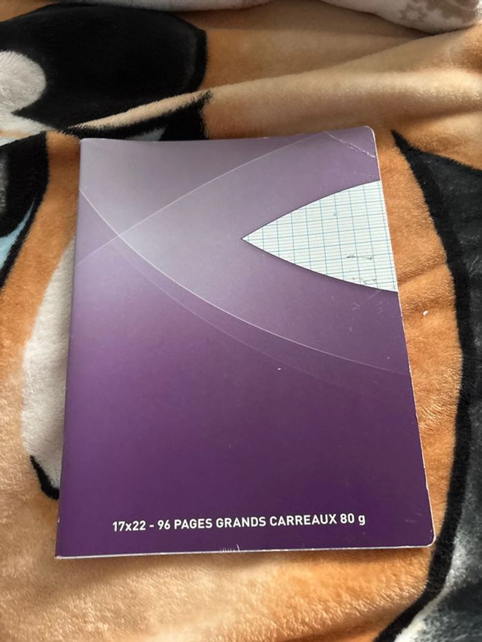 Lot cahier - photo numéro 8