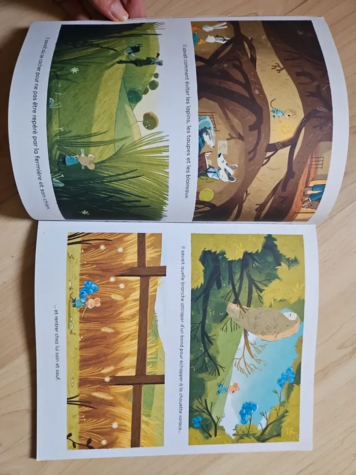 Jules et le renard - photo numéro 3