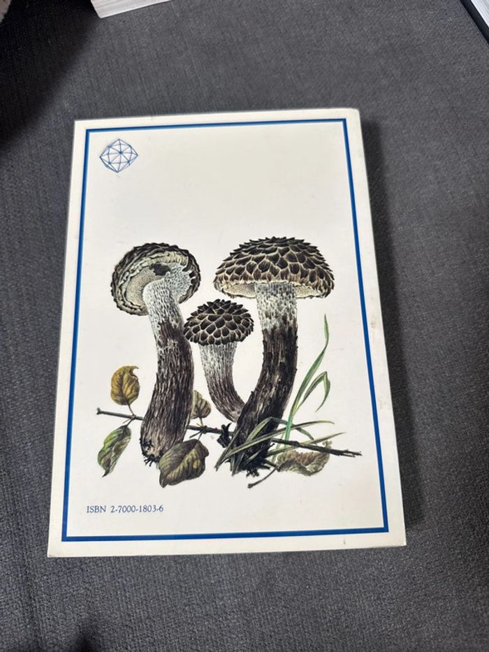 Champignons - photo numéro 2