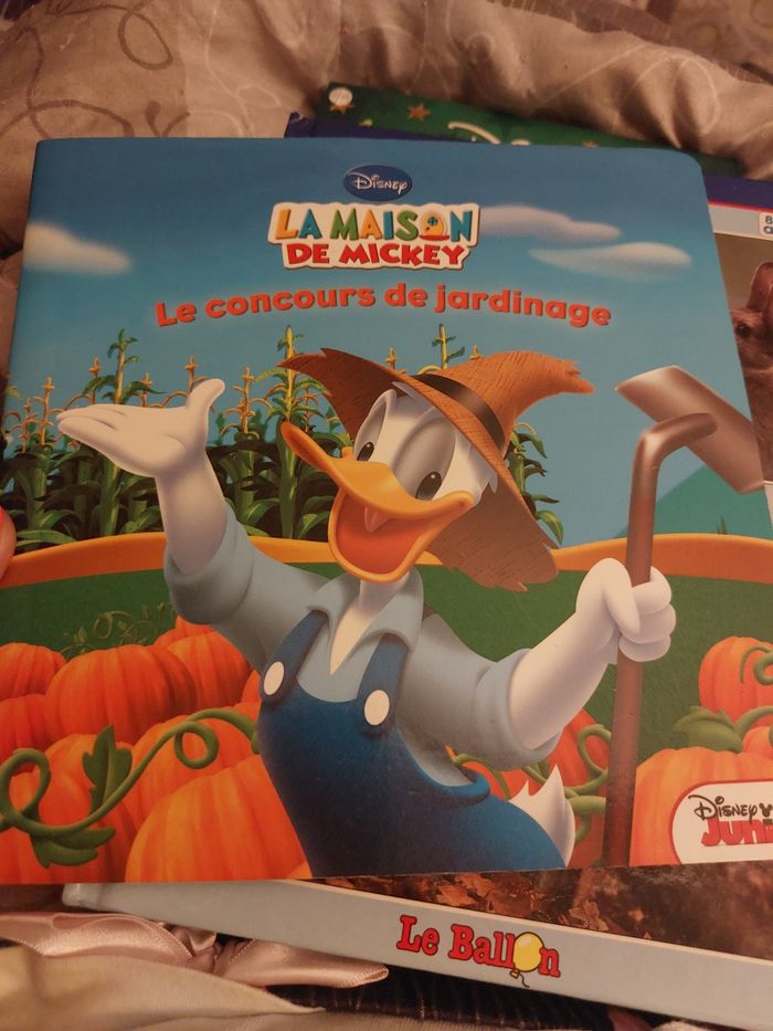 Livre La maison de Mickey : le concours de jardinage