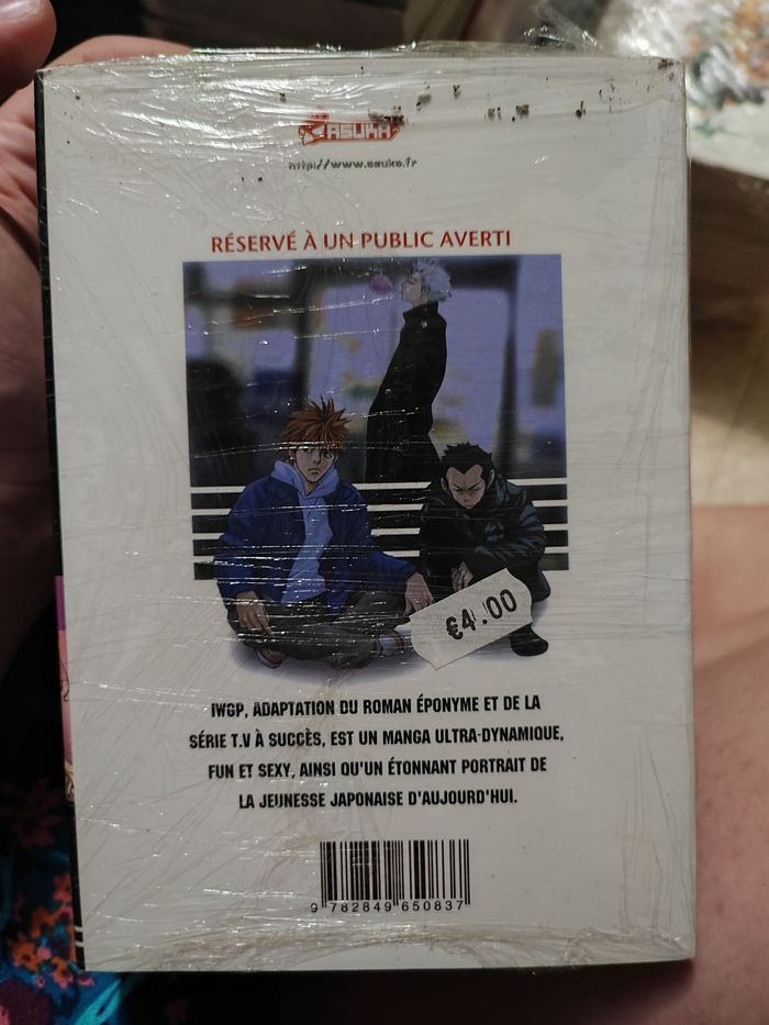 IWGP - photo numéro 2