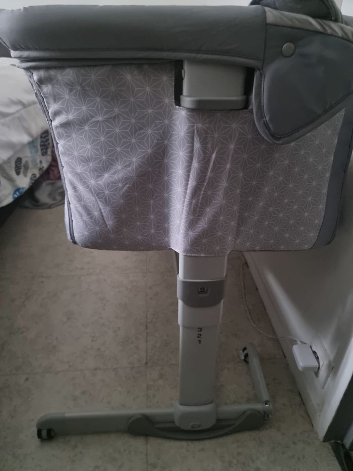 Co-dodo Chico - photo numéro 3