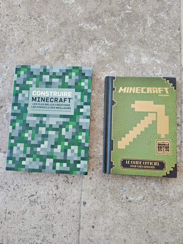 Lot 2 livres Minecraft