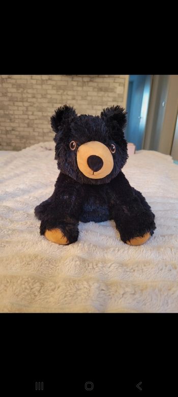 Peluche bouillotte