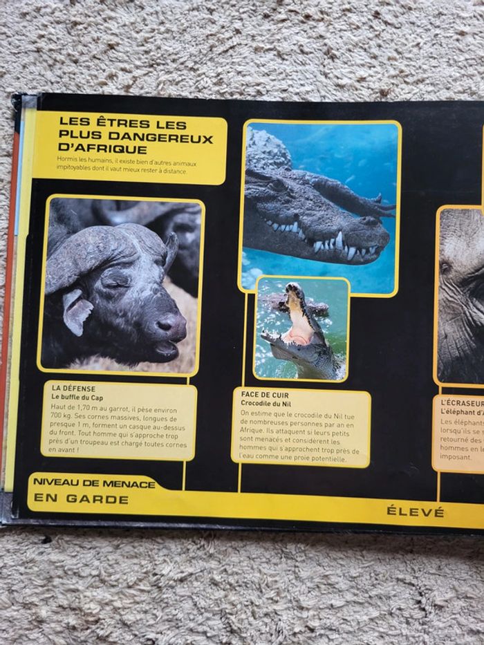 Livre documentaire enfants Zoom sur les animaux d'Afrique - photo numéro 13