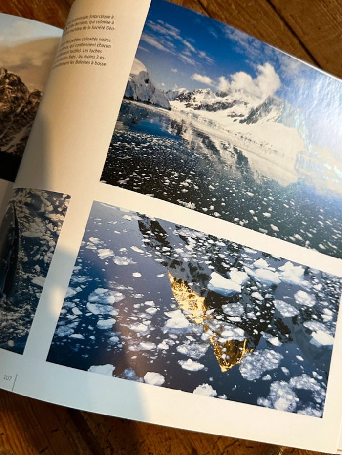 Compagnie du Ponant - Livre Voyage en Antarctique Terre de Feu Shetland du Sud beau album - photo numéro 13
